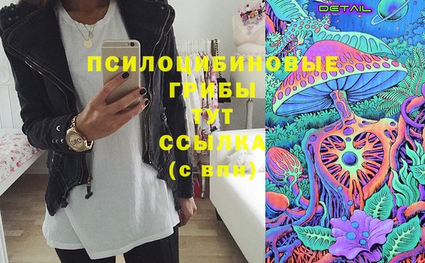 дурь Алзамай