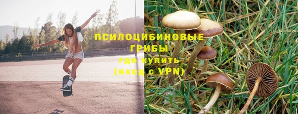 дурь Алзамай