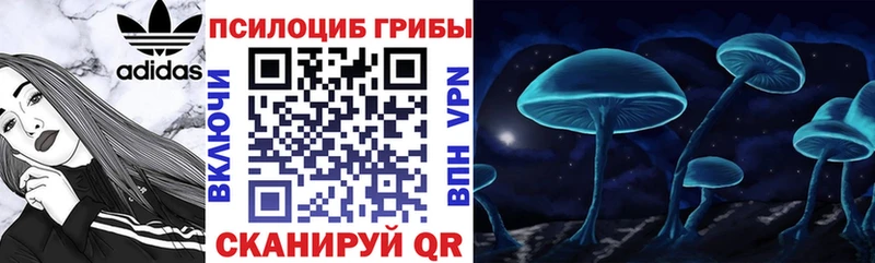 Галлюциногенные грибы GOLDEN TEACHER  Усть-Илимск 